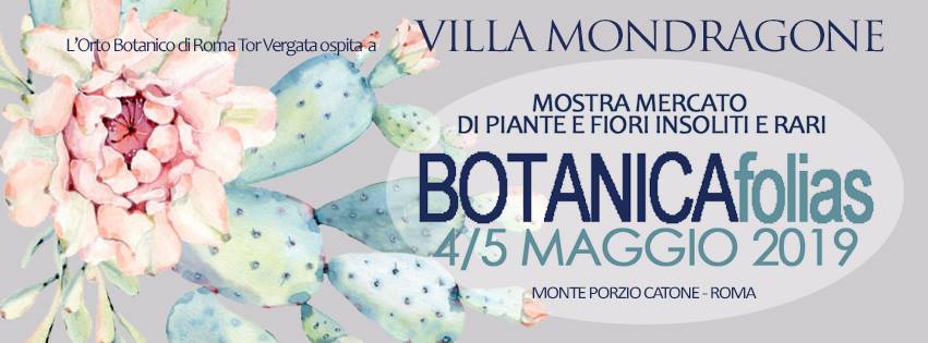 logo botanicafolias.jpg